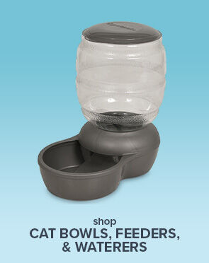 Cat Bowls, Feeders & Waterers